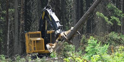 Track Feller Bunchers - Machines